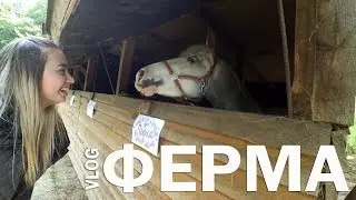 VLOG/ФЕРМА/Поцелуй с Перлой