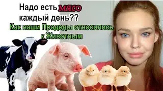 Нужно ли есть мясо каждый день?? Как Наши Предки относились к Животным? Как часто нужно есть мясо?