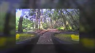 Mountain exploration FPV 🌲🌳🌿🍃