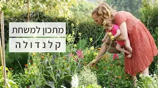 איך מכינים לבד משחת קלנדולה מעולה? לאיזה שמנים אתריים אני חושפת את התינוקת שלי?