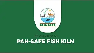 INTRODUCTION TO PAH SAFE FISH KILN