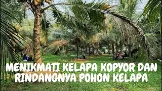 AGROWISATA KELAPA KOPYOR BOGOR