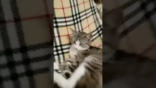 сколько лет вам было в 2018?