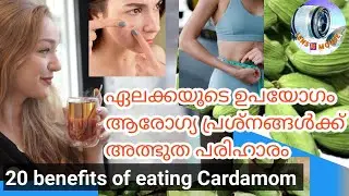 Health benefits of using cardamom