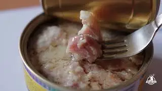 Сырок (Пелядь) обжаренный в масле. Ямальские консервы. Обзор