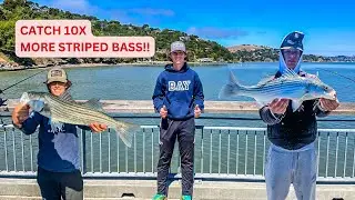 How To Catch Bay Area Stripers For Dummies | SECRET METHOD!!