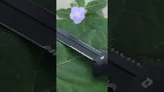 Gerber Mark II- too DEADLY to sell?