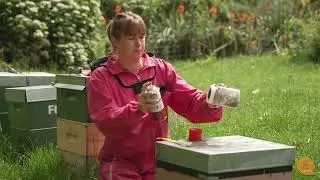 How to do an Ether Roll - Testing For Varroa Mites