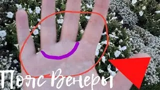 Сексуальный темперамент и Пояс Венеры//сексуальные отклонения//истеричка//сексуальный маньяк