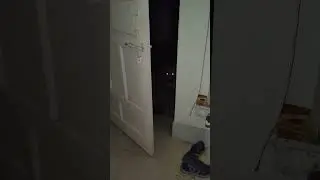 1:00AM #funnydog #pitbull #desidog #gsd