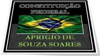 Constituição Federal ART 5°  Parte 3