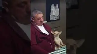 Учусь спать как хозяин 😀