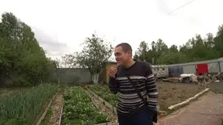 Боевой конь опять !?