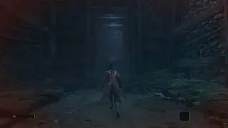 Potato computer plays Sekiro, but on maximum settings with 1080Ti