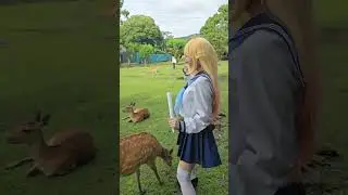 Deer Disguise ~ My Deer Friend Nokotan Ep 3 しかのこのこのここしたんたん Koshi Torako "Bully Maguire" Dance