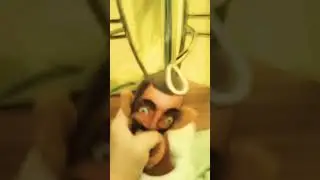 skibidi toilet автор 