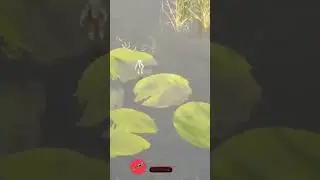 Help the boy to save his life from the monster.  ( The Bramble The Mountain King  )