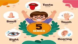 5 SENSE ORGANS - SUBJECT ENRICHMENT BALVATIKA 3