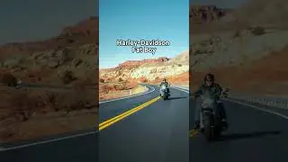 Harley Fat Boy: The Iconic Cruiser Experience! 🏍️🔥 #Clives