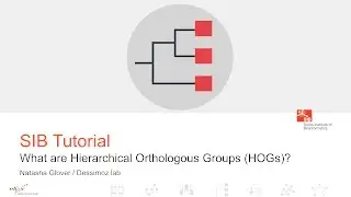 OMA browser -  What are Hierarchical Orthologous Groups (HOGs)?