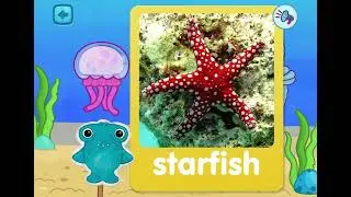 Bimi boo Learn about Sea animals with Granny | Boopanpankids