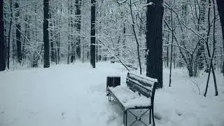 день второй