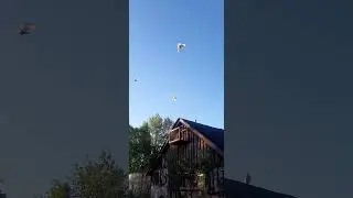 Будьте как птицы небесные.