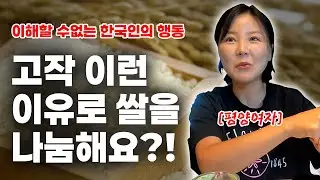 멀쩡한 쌀을 무료로 나눔하는 행동을 이해할 수 없었어요 | 평양여자