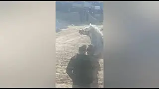 Сарвар полвон аз к.дуст