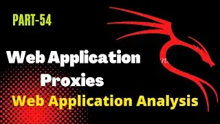 What is web application porxies in kali Linux | Web Application Analysis