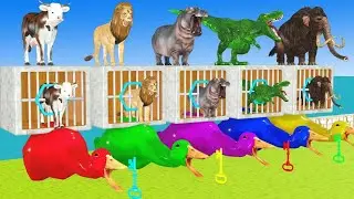 Cow Mammoth Elephant Lion Dinosaur Guess The Right Key ESCAPE ROOM CHALLENGE Animals Cage Game