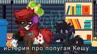 °•[|] история про попугая Кешу от Райма[|]•°