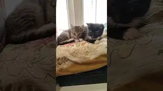 #сюрприз