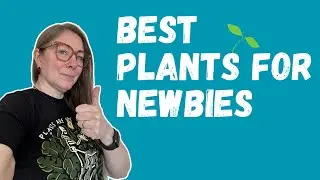 Green Thumb Starter Kit: 5 Easy Plants for AeroGarden Beginners! | The Indoor Gardener