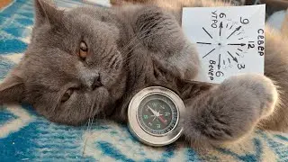 Солнечные часы своими руками . Просто и доступно каждому!