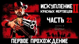 RDR 2. Глава V. Часть №21: покидаем райское место