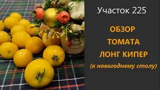 Томат Лонг Кипер. Всю зиму с помидорами!