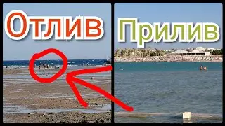 Пляж Pick Albatros Dana Beach, Hurghada. Разница между ПРИЛИВОМ/ ОТЛИВОМ.
