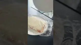 SUSHI FÁCIL- faça em casa para o almoço 🤭 #food #vidanaholanda #humor