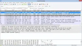 WCT02-S9: Identify the Nine GUI Elements [WCT02: Introduction to Wireshark Course]