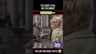 Did you know THIS about THE BIRDS (1963)? Movie Facts & Trivia 6