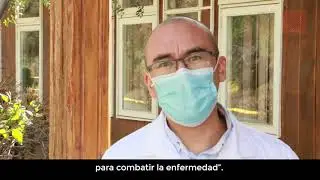 El Doctor Responde: ¿Qué es el examen PCR?