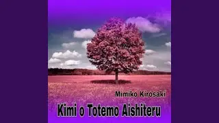Kimi o Totemo Aishiteru