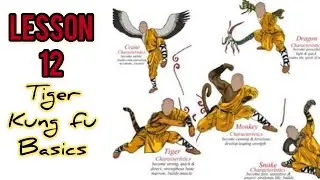 100 percent for beginners / shi zi tiger kung fu 十字虎拳 / learning kung fu at home lesson 12