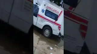 Día del niño
