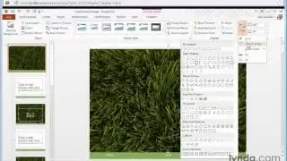 32 Formation PowerPoint 2013 (Cropping a picture to a shape)