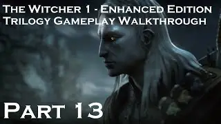 The Witcher 1 - Gameplay Walkthrough - Part 13 [Trilogy Walkthrough]