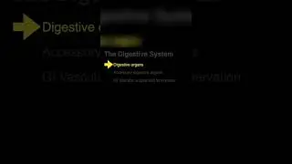 Anus Muscles! 