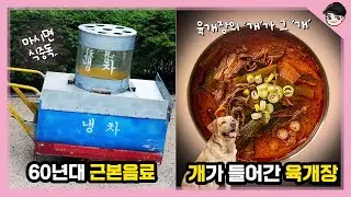 육개장에 개고기가 들어갔다고? 신기한 60년대 여름 음식&문화 TOP5 [빠퀴2tv]