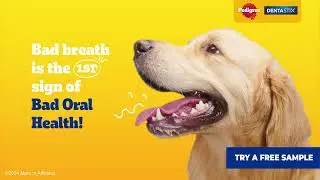 Elevate your dog's morning Oral Care Routine with Dentastix